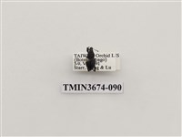 藏品(象鼻蟲(2))的圖片